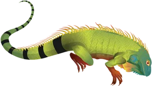 Colorful_ Iguana_ Illustration PNG Image