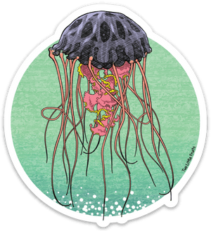 Jellyfish Stickers Hd, HD Png Download PNG image with transparent background
