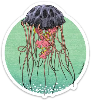 Colorful Jellyfish Illustration PNG Image