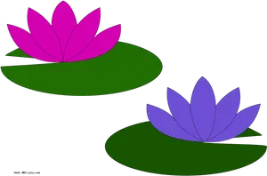 Colorful Lotus Flowers Vector Illustration PNG Image