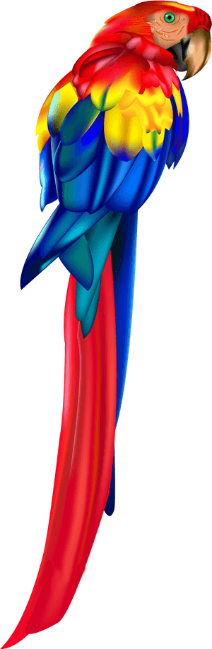 Red Parrot Png Clipart - Parrot PNG image with transparent background