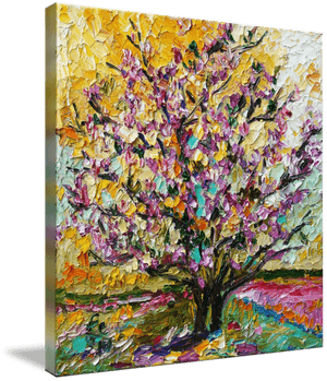 Magnolia Tree Png - Tulip Magnolia Tree, Transparent Png PNG image with transparent background