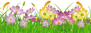 Colorful Meadow Flowers PNG Image