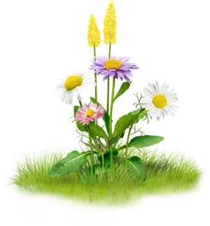 Colorful_ Meadow_ Flowers PNG Image