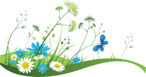 Summer Meadow PNG HD PNG image with transparent background