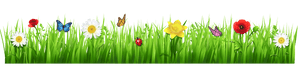 Field Meadow PNG File PNG with transparent background