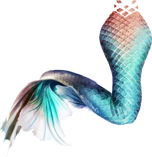 Colorful Mermaid Tail Artwork PNG Image