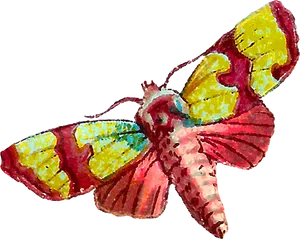 Colorful Moth Illustration PNG Image