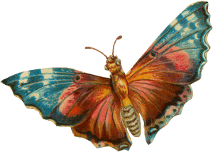 A Terrific Moth For Your Halloween Projects - Vintage Moth Png, Transparent Png PNG with transparent background