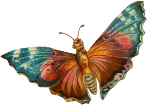 Colorful Moth Illustration PNG Image