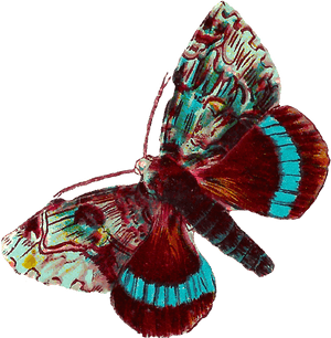 Digital Butterfly Moth Clip Art Downloads - Printable Death Moth, HD Png Download PNG with transparent background