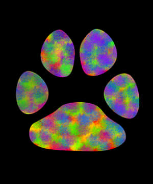 Colorful_ Nebula_ Paw_ Print PNG image with transparent background