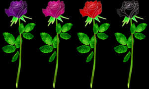 Colorful Neon Roses Vector Illustration PNG image with transparent background