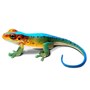 Colorful Newt Art Png 32 PNG Image