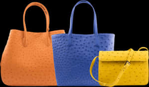 Ostrich Bags - Tote Bag, HD Png Download PNG image with transparent background