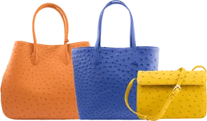 Colorful Ostrich Leather Tote Bags PNG Image