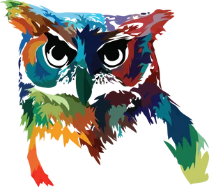 Colorful Owl Artwork PNG Image