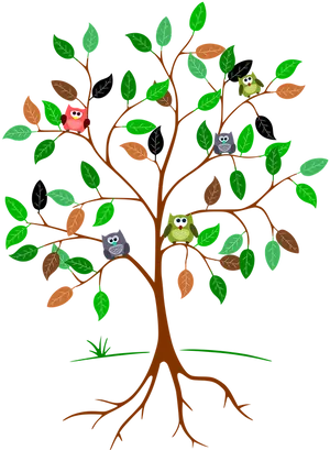 Colorful Owlson Treewith Roots PNG Image