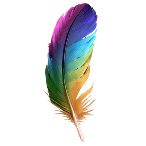 Colorful Parrot Feather PNG xwt PNG image with transparent background