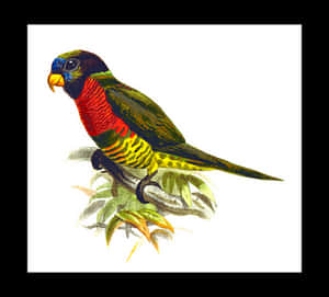 Colorful Parrot Illustration PNG image with transparent background