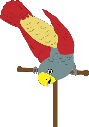 Colorful Parrot Illustration PNG Image