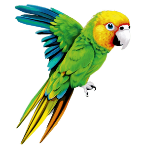 Colorful Parrot PNG 77 PNG