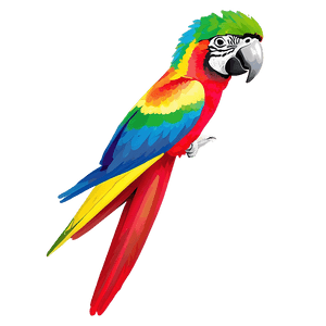 Colorful Parrot PNG duc PNG