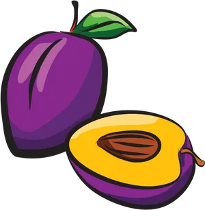 Colorful Plumand Half Illustration PNG Image