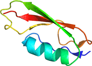 Pasta Domain From 3m9g, HD Png Download PNG image with transparent background