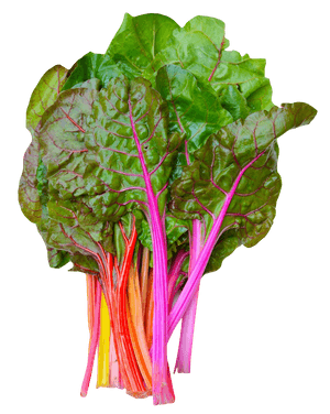 Colorful Rainbow Chard Bunch PNG image with transparent background