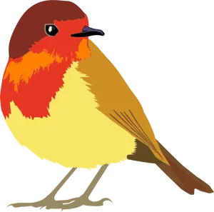 Colorful Robin Illustration PNG Image