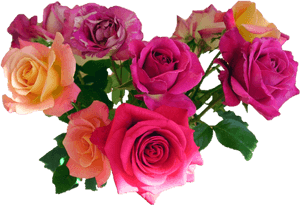 Bouquet Flowers Png Transparent Images Free Download - Flowers Png, Png Download PNG with transparent background