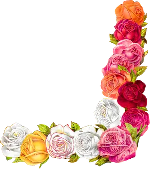 Colorful Rose Corner Design PNG Image