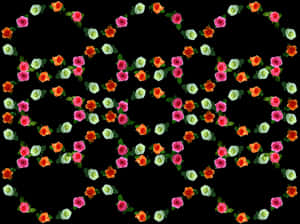 Colorful Rose Pattern Black Background PNG image with transparent background