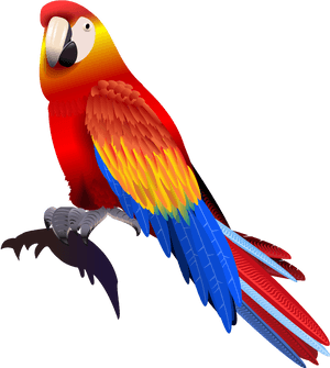Vector Parrot Colored - Parrot PNG image with transparent background