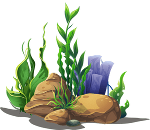 Transparent Office Plant Png - Seaweed Clipart Png, Png Download PNG image with transparent background
