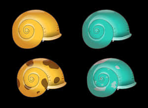 Colorful Shell Illustrations PNG image with transparent background