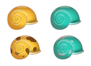 Colorful Shell Illustrations PNG Image