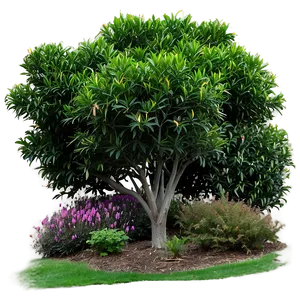 Colorful Shrubs Png Anb83 PNG Image