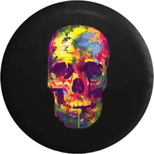 Colorful Skull Art Vinyl Record PNG Image