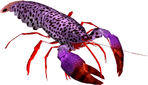 Blue Lobster Transparent, HD Png Download PNG image with transparent background