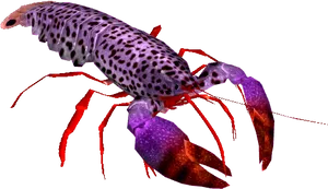 Colorful Spotted Lobster PNG Image