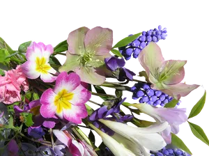 Colorful Spring Flowers Arrangement PNG Image