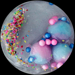 Circle, HD Png Download PNG
