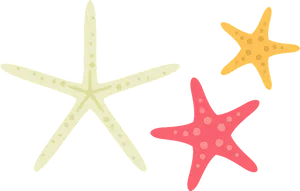 Colorful Starfish Clipart PNG Image