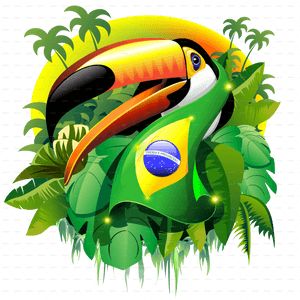 Toco With Brazil Flag - Toco Toucan With Brazil Flag, HD Png Download PNG image with transparent background