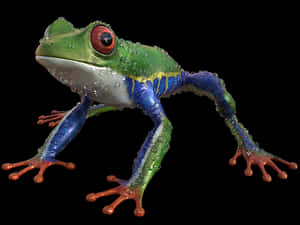 Colorful Tree Frog Black Background PNG image with transparent background