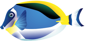 Fish, Tropical Fish, Sea, Surgeon - Tropical Fish Clipart, HD Png Download PNG image with transparent background