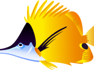 Tropical Fish Clipart Beta - Tropical Fish Clipart, HD Png Download PNG image with transparent background