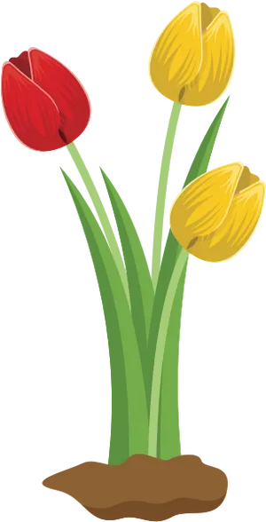 Colorful Tulips Illustration PNG Image